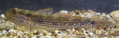 f:id:OIKAWAMARU:20120508172750j:image f:id:OIKAWAMARU:20120508172750j:image