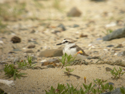 f:id:OIKAWAMARU:20120709142826j:image