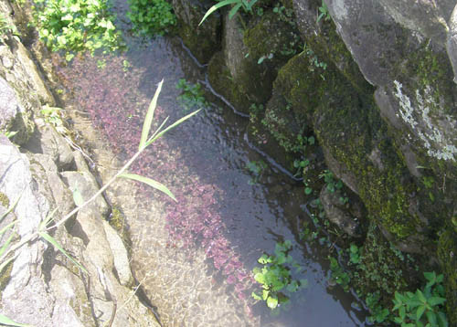 f:id:OIKAWAMARU:20120730100909j:image f:id:OIKAWAMARU:20120730100909j:image