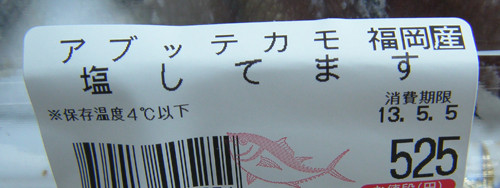 f:id:OIKAWAMARU:20130503204147j:image