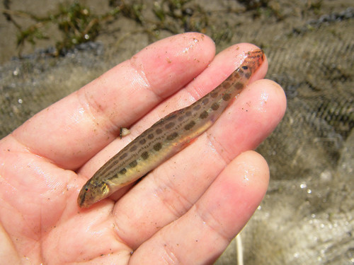 f:id:OIKAWAMARU:20130512223924j:image f:id:OIKAWAMARU:20130512223924j:image