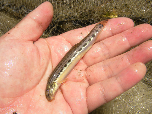 f:id:OIKAWAMARU:20130512223926j:image f:id:OIKAWAMARU:20130512223926j:image