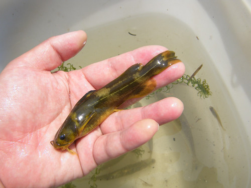 f:id:OIKAWAMARU:20130512223928j:image f:id:OIKAWAMARU:20130512223928j:image