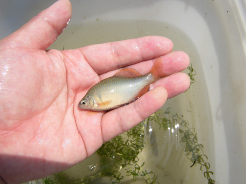 f:id:OIKAWAMARU:20130512223929j:image f:id:OIKAWAMARU:20130512223929j:image