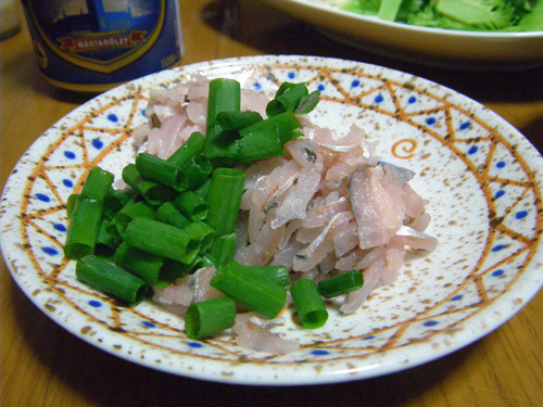 f:id:OIKAWAMARU:20130513220759j:image