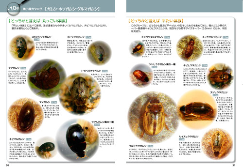 f:id:OIKAWAMARU:20130715165637j:image