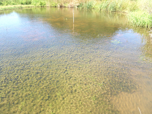 f:id:OIKAWAMARU:20130717223450j:image f:id:OIKAWAMARU:20130717223450j:image