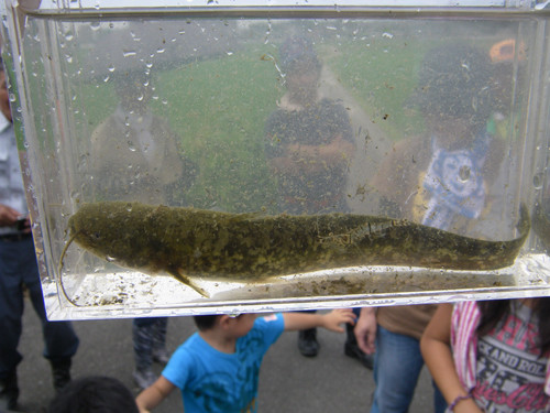 f:id:OIKAWAMARU:20130720140735j:image