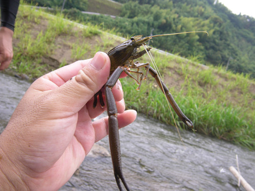 f:id:OIKAWAMARU:20130726231523j:image