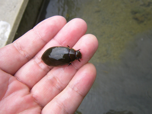 f:id:OIKAWAMARU:20130726231524j:image