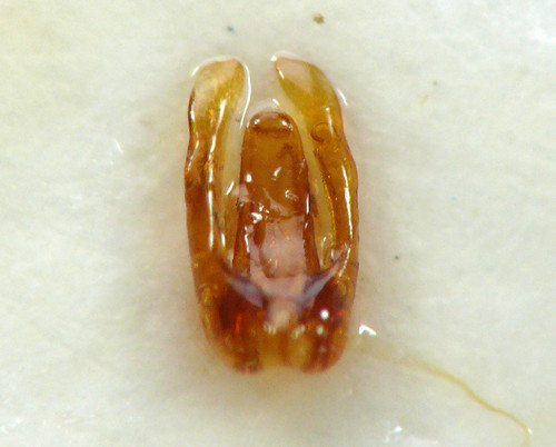 f:id:OIKAWAMARU:20130904174356j:image f:id:OIKAWAMARU:20130904174356j:image