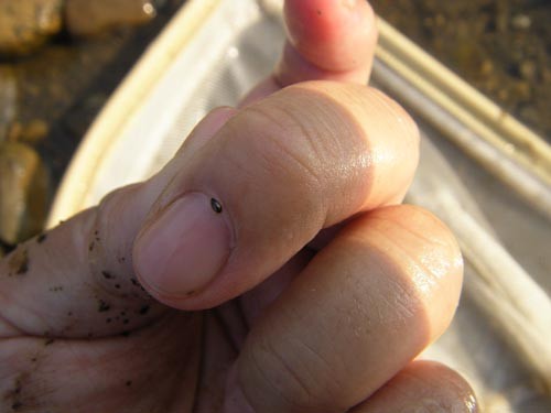 f:id:OIKAWAMARU:20131003174632j:image