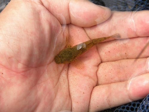 f:id:OIKAWAMARU:20131003174633j:image