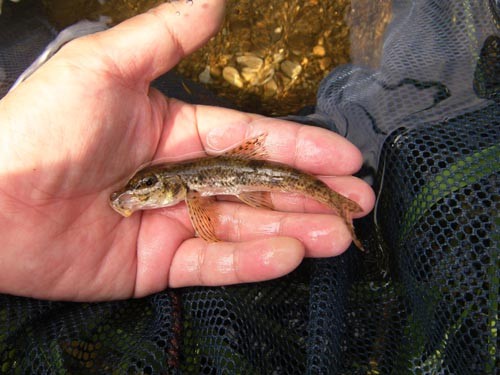 f:id:OIKAWAMARU:20131003174634j:image