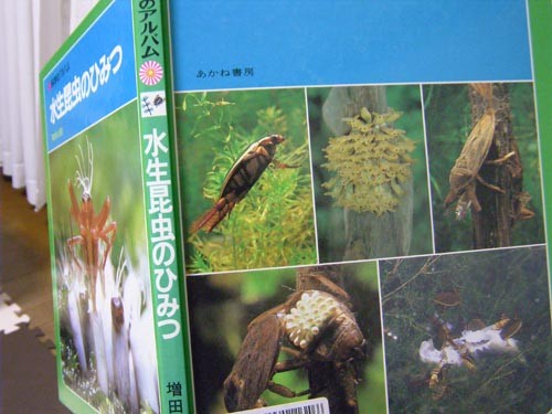 f:id:OIKAWAMARU:20140202223336j:image