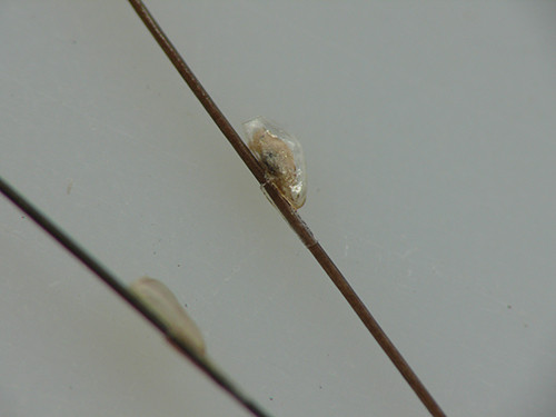 f:id:OIKAWAMARU:20140210112938j:image