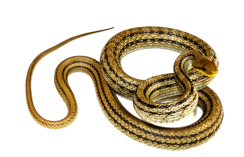 f:id:OIKAWAMARU:20140210122901j:image