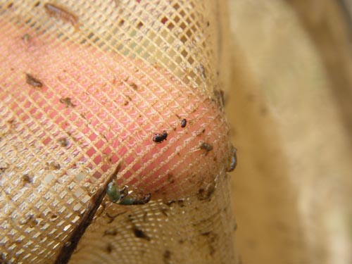 f:id:OIKAWAMARU:20140212222543j:image