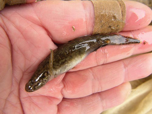 f:id:OIKAWAMARU:20140212222544j:image