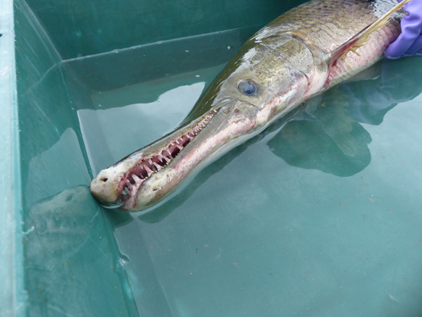 f:id:OIKAWAMARU:20140218181536j:image f:id:OIKAWAMARU:20140218181536j:image