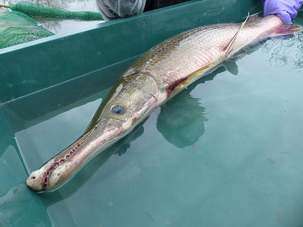 f:id:OIKAWAMARU:20140218182003j:image f:id:OIKAWAMARU:20140218182003j:image