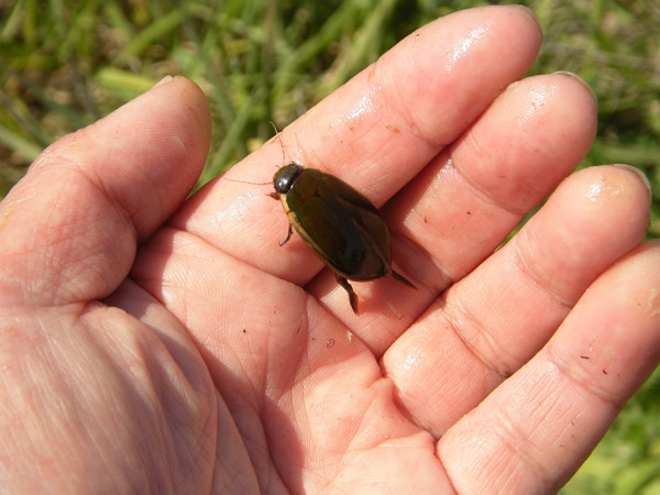 f:id:OIKAWAMARU:20140311214320j:image