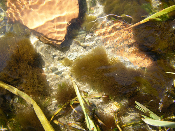 f:id:OIKAWAMARU:20140311214321j:image