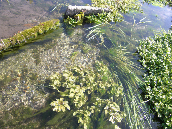 f:id:OIKAWAMARU:20140311214322j:image