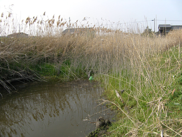 f:id:OIKAWAMARU:20140318234506j:image f:id:OIKAWAMARU:20140318234506j:image