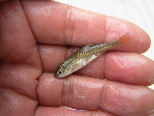 f:id:OIKAWAMARU:20140318234507j:image f:id:OIKAWAMARU:20140318234507j:image