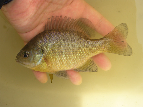 f:id:OIKAWAMARU:20140318234509j:image f:id:OIKAWAMARU:20140318234509j:image