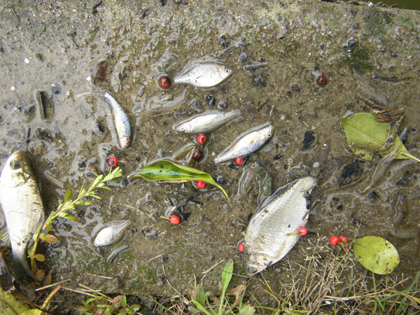 f:id:OIKAWAMARU:20140318234510j:image f:id:OIKAWAMARU:20140318234510j:image