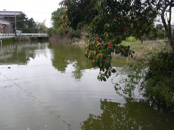 f:id:OIKAWAMARU:20140318234511j:image f:id:OIKAWAMARU:20140318234511j:image