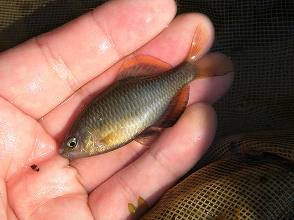 f:id:OIKAWAMARU:20140324175635j:image