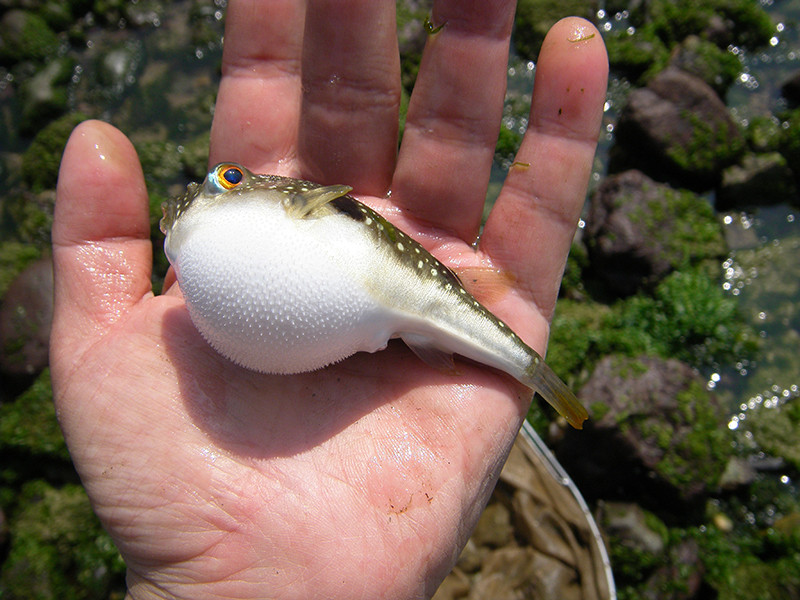 f:id:OIKAWAMARU:20140327171954j:image