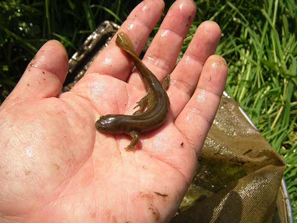 f:id:OIKAWAMARU:20140327171958j:image