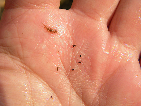 f:id:OIKAWAMARU:20140327171959j:image