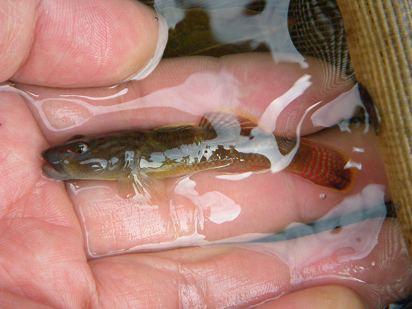 f:id:OIKAWAMARU:20140327172000j:image