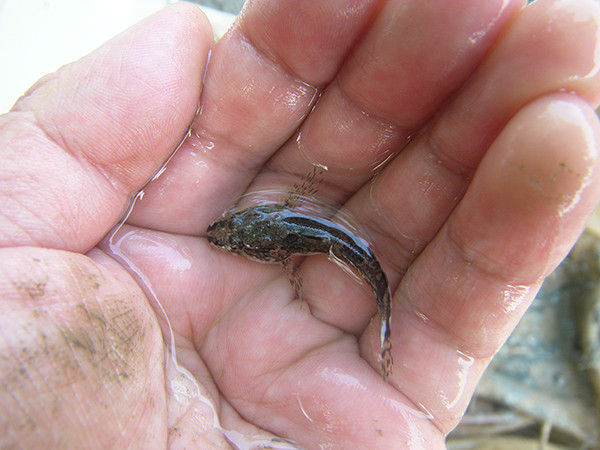 f:id:OIKAWAMARU:20140508174704j:image f:id:OIKAWAMARU:20140508174704j:image