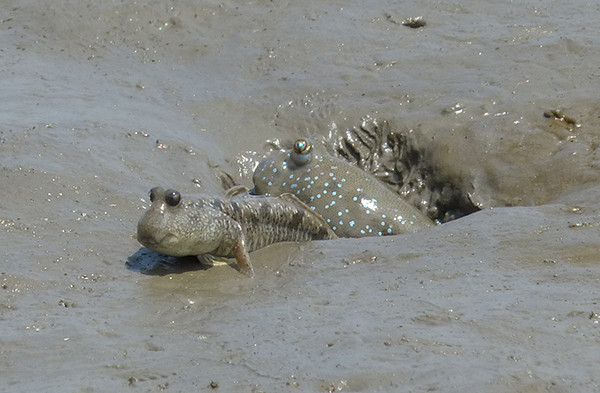 f:id:OIKAWAMARU:20140508174710j:image f:id:OIKAWAMARU:20140508174710j:image