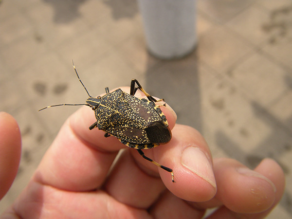 f:id:OIKAWAMARU:20140522145646j:image f:id:OIKAWAMARU:20140522145646j:image