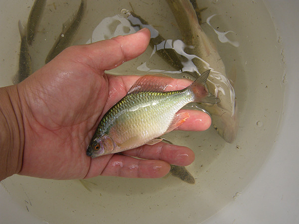 f:id:OIKAWAMARU:20140522145649j:image f:id:OIKAWAMARU:20140522145649j:image