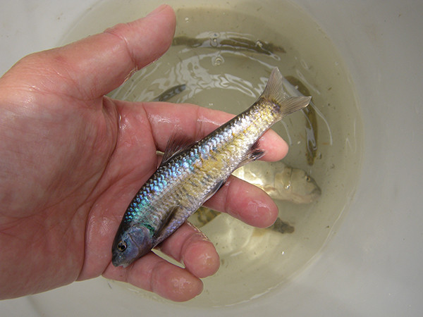 f:id:OIKAWAMARU:20140522145650j:image f:id:OIKAWAMARU:20140522145650j:image