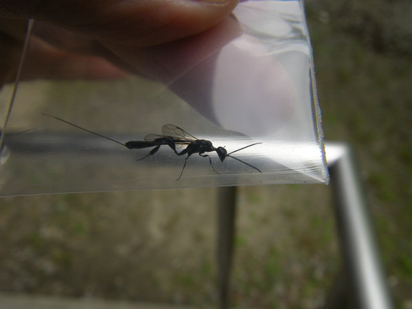 f:id:OIKAWAMARU:20140527222345j:image