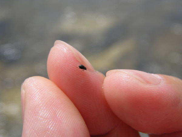 f:id:OIKAWAMARU:20140527222347j:image