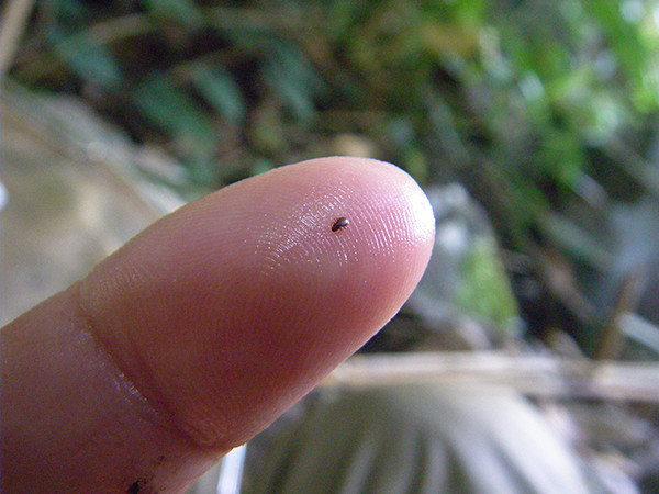 f:id:OIKAWAMARU:20140602124653j:image