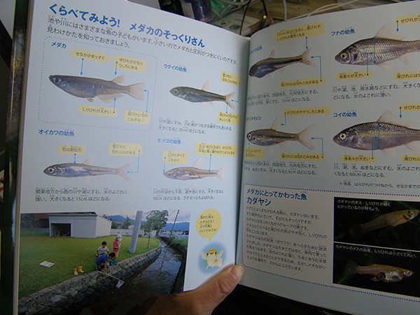 f:id:OIKAWAMARU:20150323144436j:image