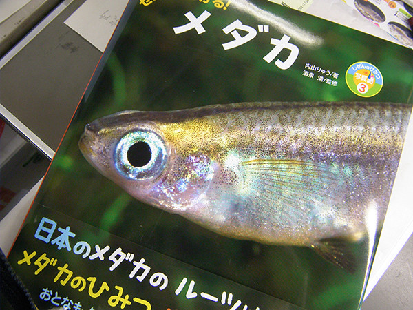 f:id:OIKAWAMARU:20150323144437j:image