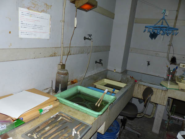 f:id:OIKAWAMARU:20150324223452j:image