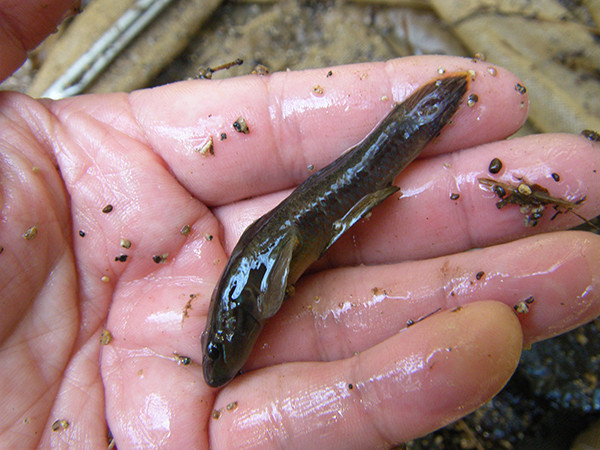 f:id:OIKAWAMARU:20150325163536j:image